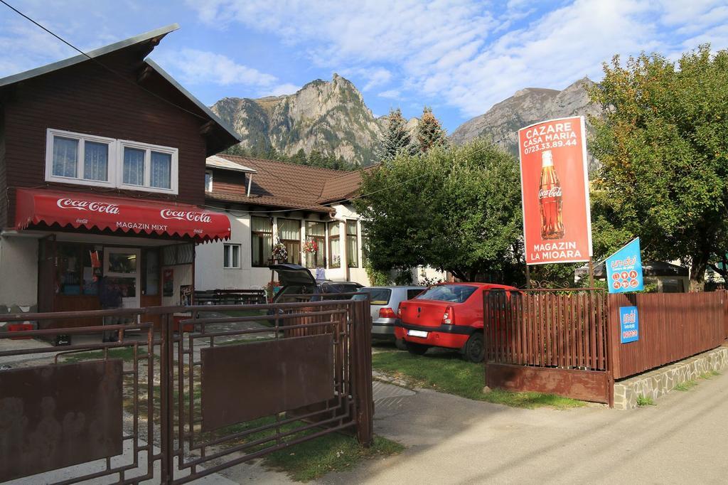 Casa Maria Busteni - Poiana Tapului Exteriör bild